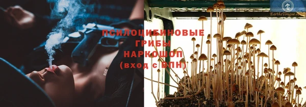 прущая мука Армянск